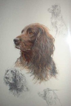 bild4