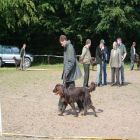 Zuchtschau04 20