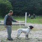 Zuchtschau04 Anton