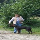 Zuchtschau04 Askan