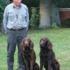 Hzp05 Beesten Alf