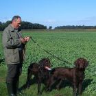 Hzp05 Beesten Ludger