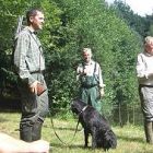 Hzp07 Beesten2