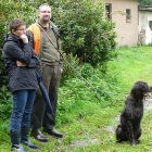 Hzp15 Andervenne5