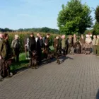 HZP2017