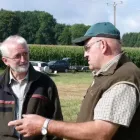 Wüt2018