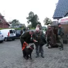 HZP2019 1