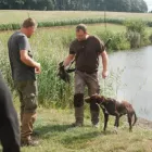 WÜT2019 1