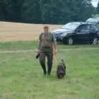 WÜT2019 3