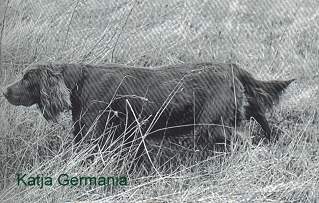 germania katja 1